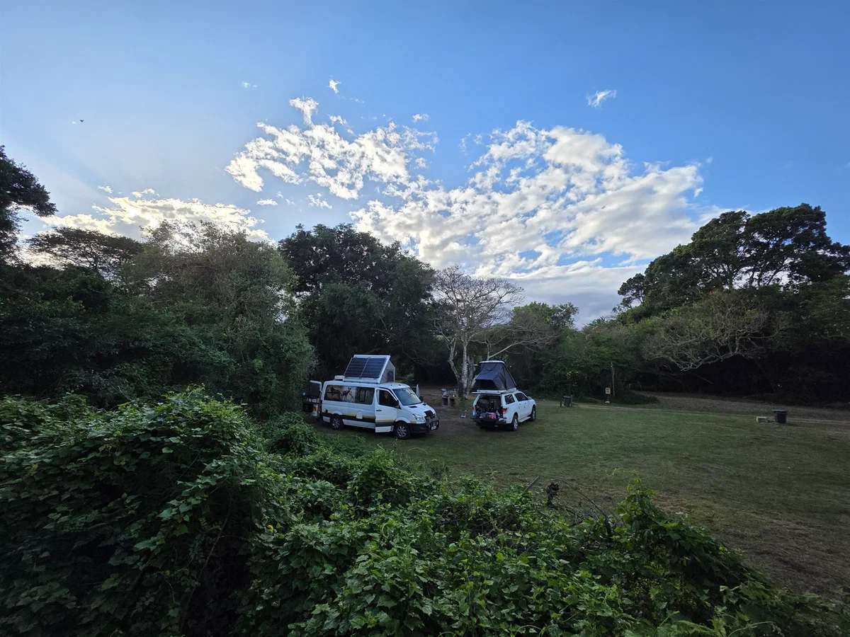 Vehicles with rooftop tents at a green campsite