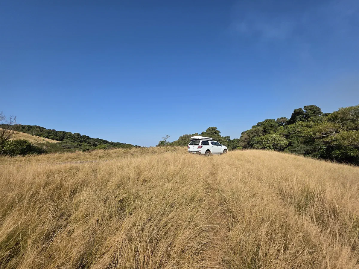 The vehicle parked in tall golden grassland under a blue sky