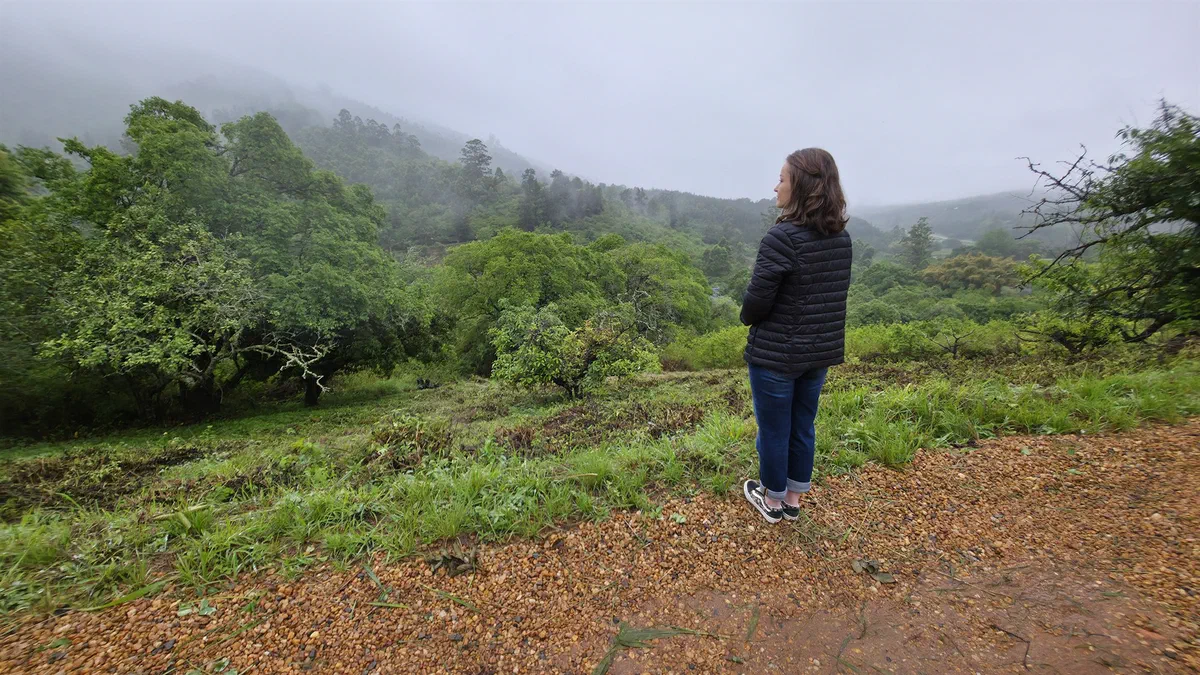A guest looking out over misty forested hills