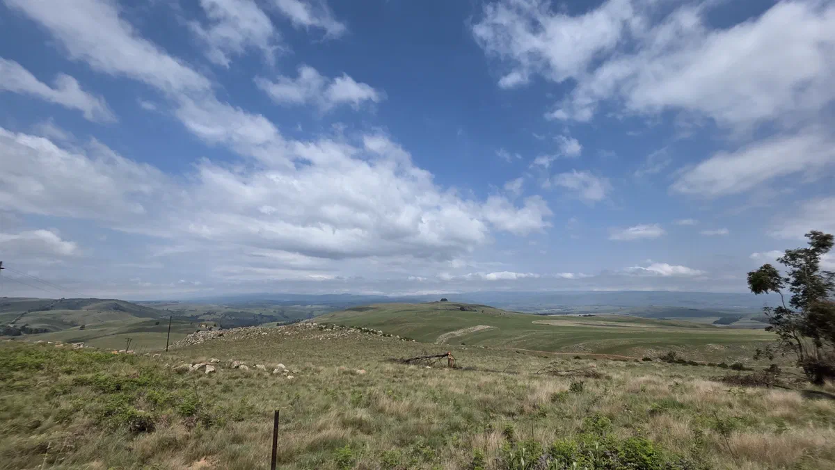 Open grassland hills under a blue sky with white clouds