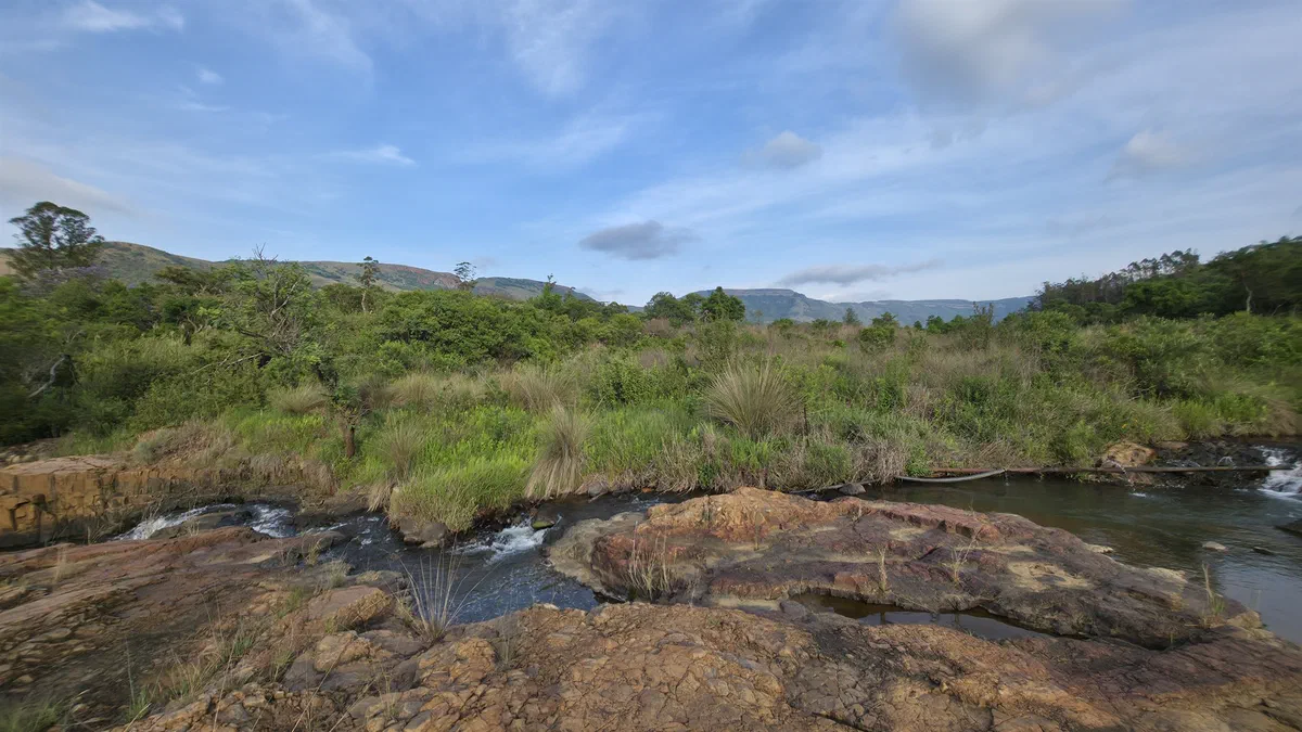 A stream flowing over flat rocks through grassland
