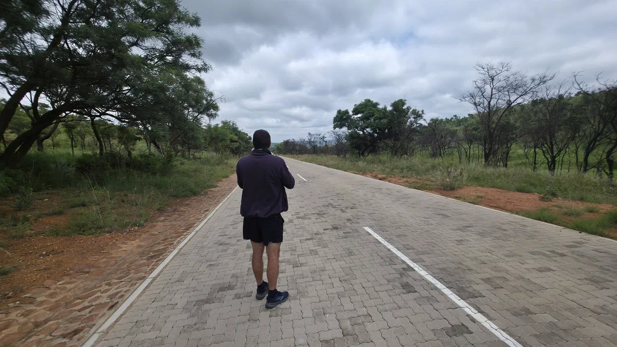 A guest walking along a quiet paved road through the bushveld