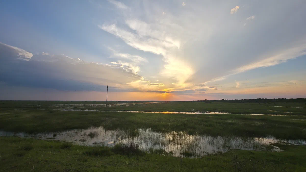 Sunset over a wetland with shallow pools of water