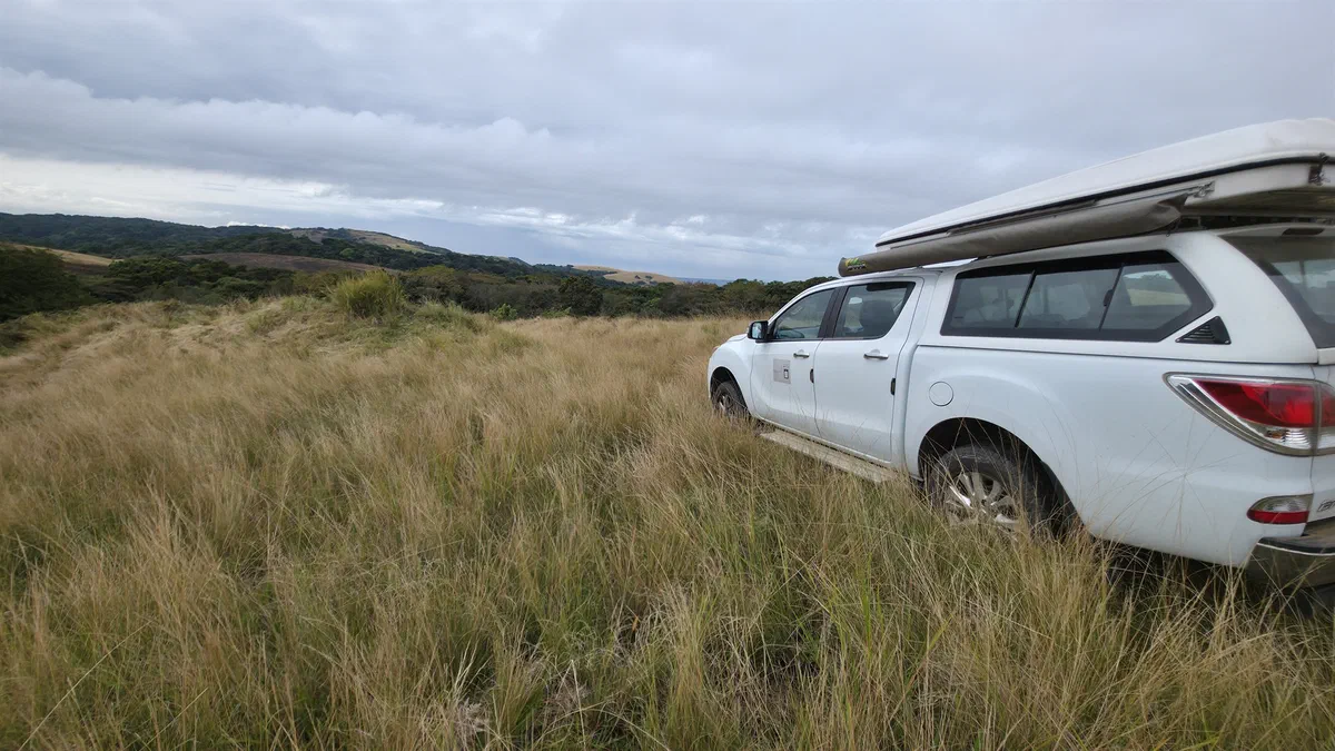 The vehicle with its rooftop tent parked in long grass
