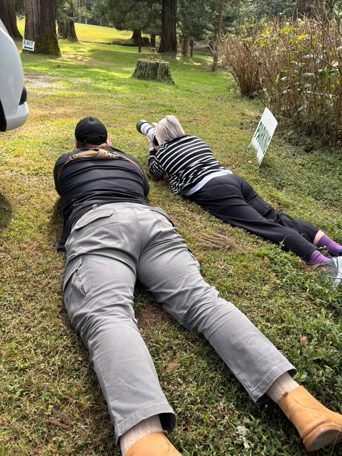 Two photographers lying flat on the grass to photograph at eye level