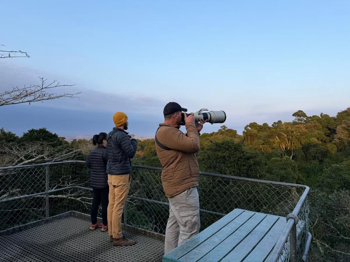 Guests with long lenses on a raised viewing deck above the forest