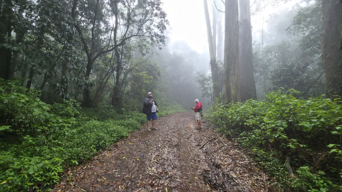 Two people walking a muddy forest track in the mist